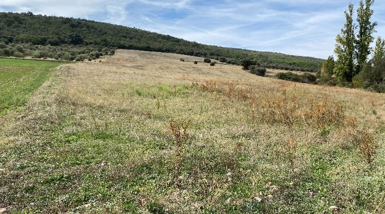Ciudad Real - Los Cortijos - 48000m2