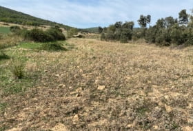 Los Cortijos 48000&nbsp;m² 