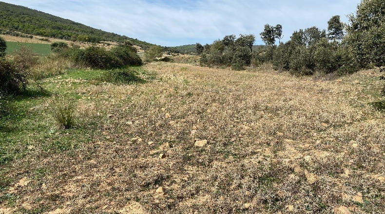 Ciudad Real - Los Cortijos - 48000m2