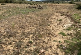 Los Cortijos 48000&nbsp;m² 