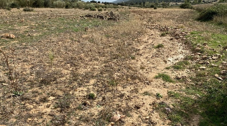 Ciudad Real - Los Cortijos - 48000m2