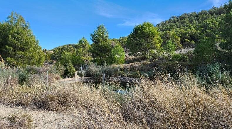 Murcia - Fortuna - 15511m2