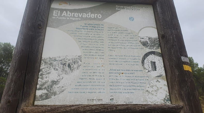 Murcia - Fortuna - 15511m2
