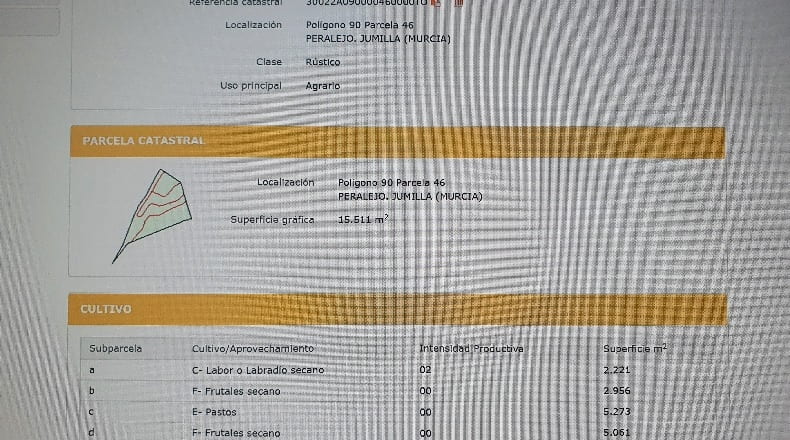 Murcia - Fortuna - 15511m2