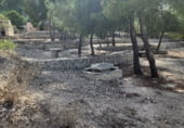 Terreny no urbanitzable en venda a la Pista Forestal Umbría del Comisario, Fortuna, ref.: TR99026 foto