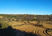 Non-developable land for sale on Polígono 27 Parcela 71, Maella, ref: TR99035 photo
