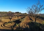 Non-developable land for sale on Polígono 27 Parcela 71, Maella, ref: TR99035 photo