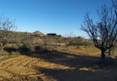 Non-developable land for sale on Polígono 27 Parcela 71, Maella, ref: TR99035 photo