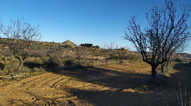 Zaragoza - Maella - 18828m2
