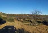 Non-developable land for sale on Polígono 27 Parcela 71, Maella, ref: TR99035 photo