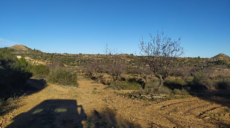 Zaragoza - Maella - 18828m2