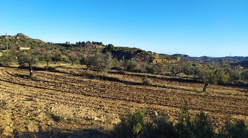 Zaragoza - Maella - 18828m2