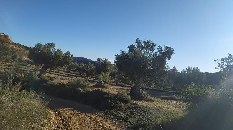 Zaragoza - Maella - 18828m2