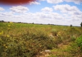 Terreno no urbanizable en venta en la LE-6519, Fresno de la Vega, ref: TR99033 foto