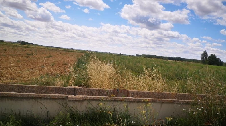 León - Fresno de la Vega - 14650m2