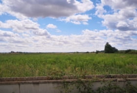 Fresno de la Vega 14650&nbsp;m² 