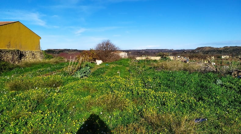 Zaragoza - Maella - 533m2