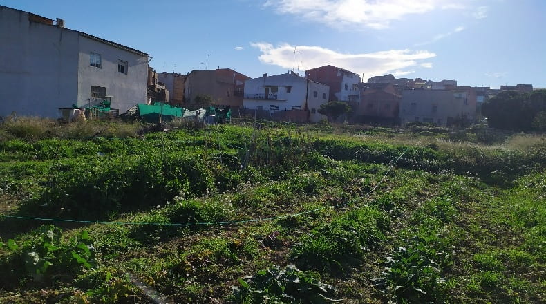 Zaragoza - Maella - 533m2