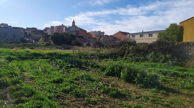 Zaragoza - Maella - 533m2
