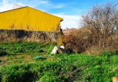 Suelo urbano en venta en la Calle Carnicer, Maella, ref: TR99032 foto