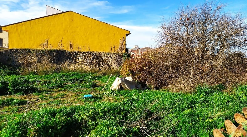 Zaragoza - Maella - 533m2