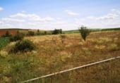 Terreno no urbanizable en venta en la El Cumbre, Pajares de los Oteros, ref: TR99030 foto