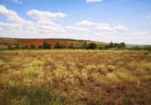 Terreno no urbanizable en venta en la El Cumbre, Pajares de los Oteros, ref: TR99030 foto