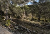 Участок с хранилищем на продажу в городе Olesa de Bonesvalls Фото