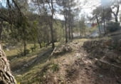 Участок с хранилищем на продажу в городе Olesa de Bonesvalls Фото