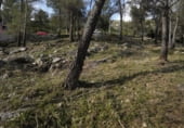 Участок с хранилищем на продажу в городе Olesa de Bonesvalls Фото