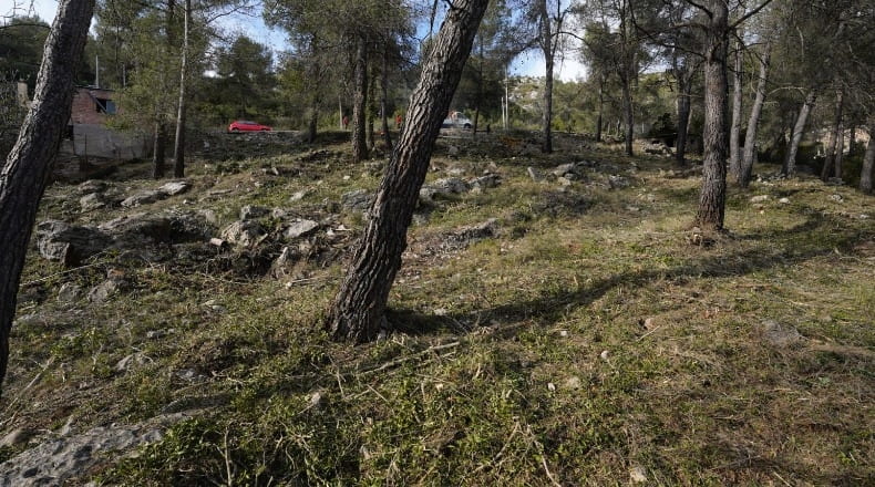 Barcelona - Olesa de Bonesvalls - 2200m2