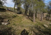 Участок с хранилищем на продажу в городе Olesa de Bonesvalls Фото