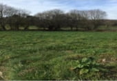 Non-developable land for sale on Polígono 38 Parcela 2, San Martín de Oscos, ref: TR99348 photo
