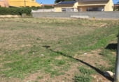 Parcela urbanizable en venta en la Carrer Sant Ramon de Penyafort, Santa Margarida i els Monjos, ref: TR99679 foto