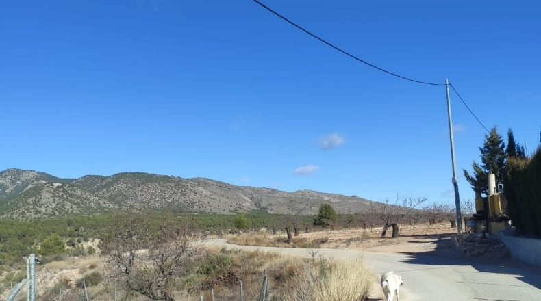 Murcia - Caravaca de la Cruz - 10434m2