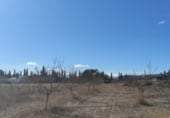 Land suitable for development for sale on Camino Viejo de Archivel, Caravaca de la Cruz, ref: TR99683 photo