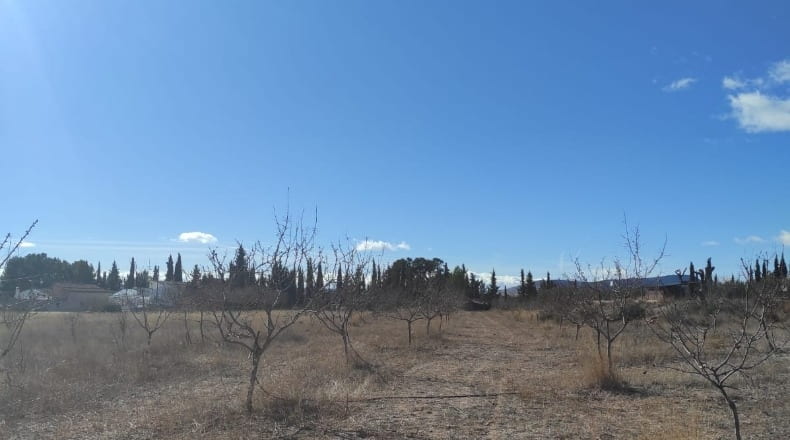 Murcia - Caravaca de la Cruz - 10434m2