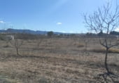 Land suitable for development for sale on Camino Viejo de Archivel, Caravaca de la Cruz, ref: TR99683 photo