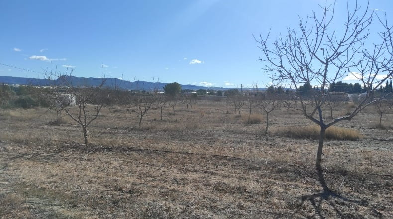 Murcia - Caravaca de la Cruz - 10434m2