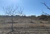 Land suitable for development for sale on Camino Viejo de Archivel, Caravaca de la Cruz, ref: TR99683 photo
