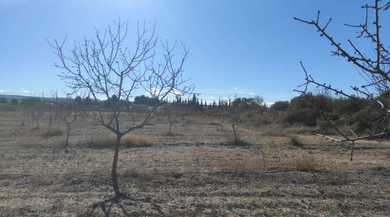 Murcia - Caravaca de la Cruz - 10434m2
