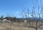 Land suitable for development for sale on Camino Viejo de Archivel, Caravaca de la Cruz, ref: TR99683 photo