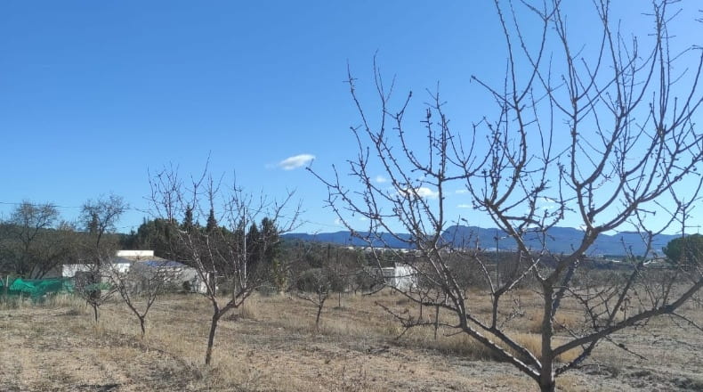 Murcia - Caravaca de la Cruz - 10434m2