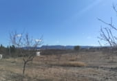 Land suitable for development for sale on Camino Viejo de Archivel, Caravaca de la Cruz, ref: TR99683 photo