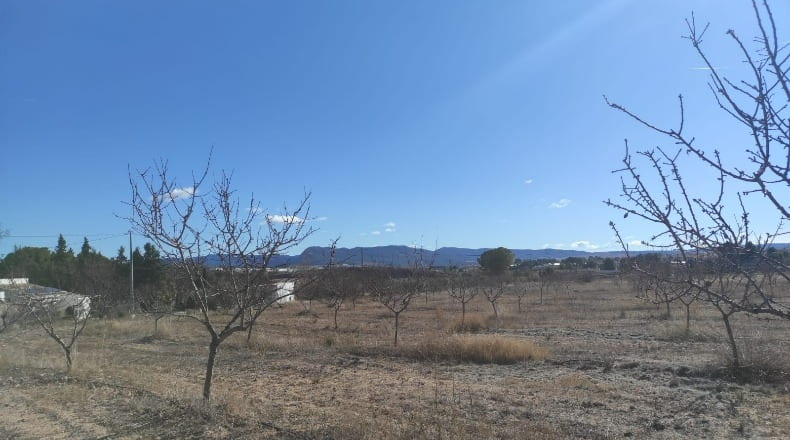 Murcia - Caravaca de la Cruz - 10434m2
