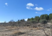 Land suitable for development for sale on Camino Viejo de Archivel, Caravaca de la Cruz, ref: TR99683 photo
