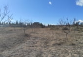 Land suitable for development for sale on Camino Viejo de Archivel, Caravaca de la Cruz, ref: TR99683 photo