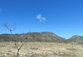 Land suitable for development for sale on Camino Viejo de Archivel, Caravaca de la Cruz, ref: TR99683 photo