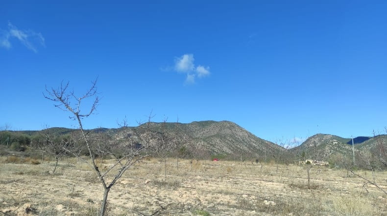 Murcia - Caravaca de la Cruz - 10434m2