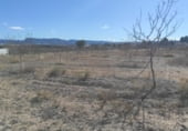 Land suitable for development for sale on Camino Viejo de Archivel, Caravaca de la Cruz, ref: TR99683 photo